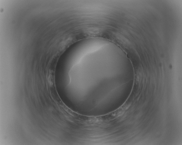 X0000076381346200610202029