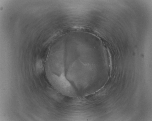 X0000076381347200610202029