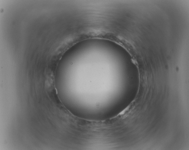 X0000076381349200610202029