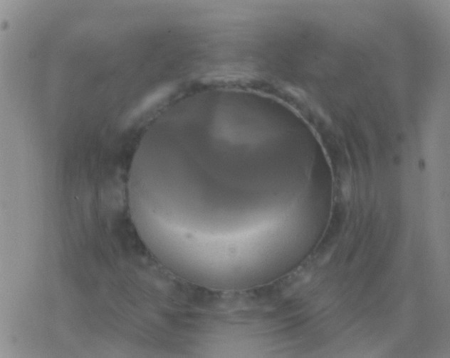 X0000076381350200610202029