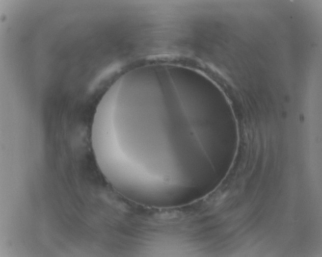 X0000076381351200610202029