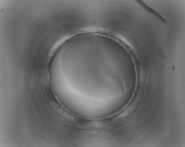 X0000076381358200610202029