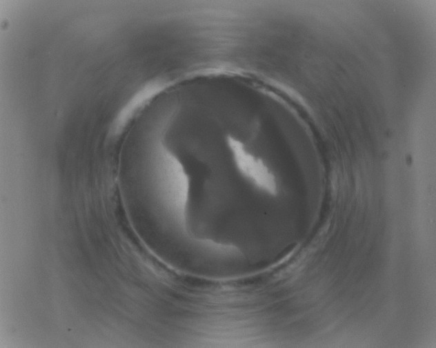 X0000076381359200610202029