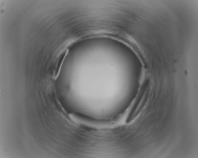 X0000076381361200610202029