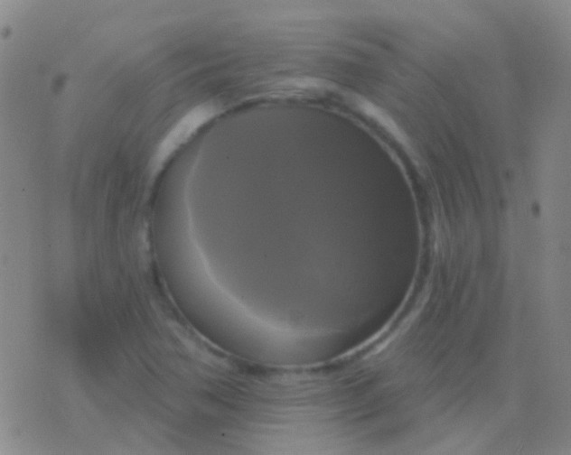 X0000076381362200610202029