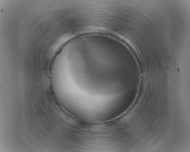 X0000076381363200610202029