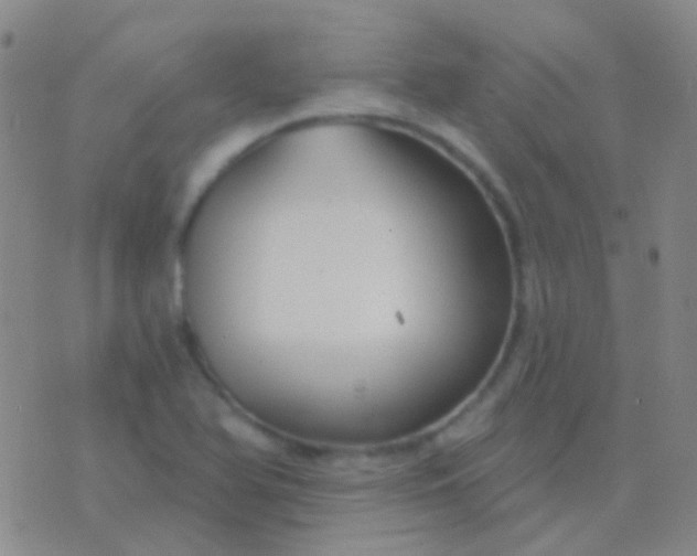 X0000076381366200610202029