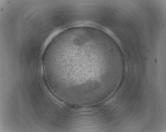 X0000076381368200610202029