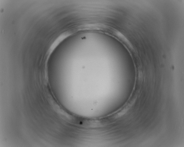 X0000076381370200610202029