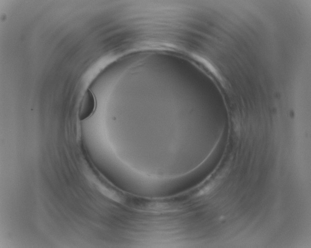 X0000076381371200610202029