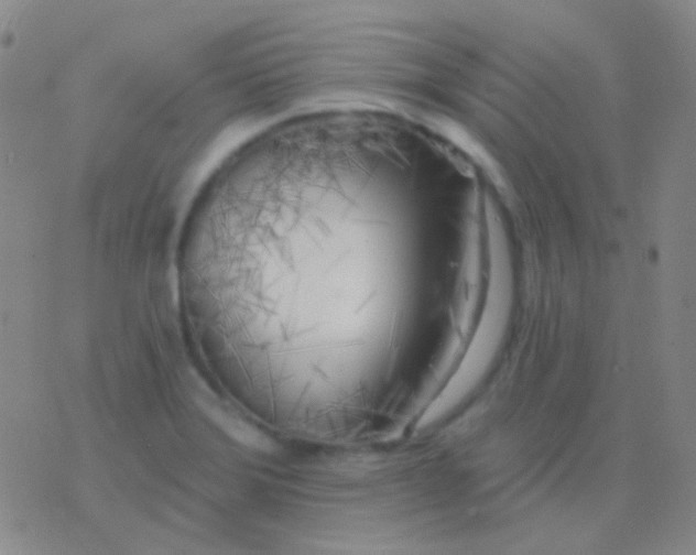 X0000076381372200610202029