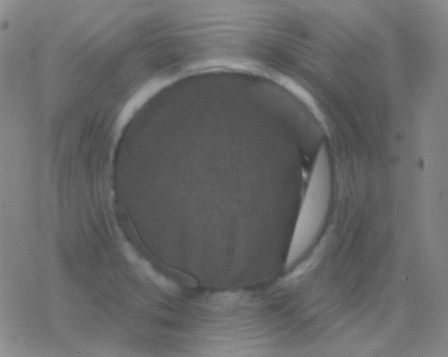 X0000076381373200610202028