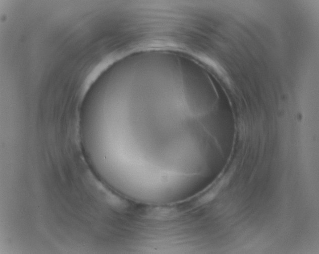 X0000076381374200610202028