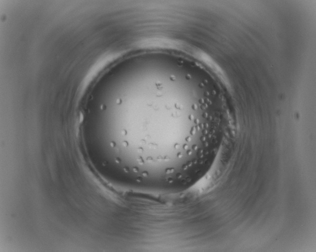 X0000076381376200610202028