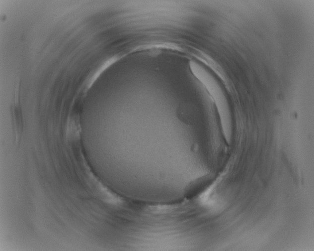 X0000076381377200610202028