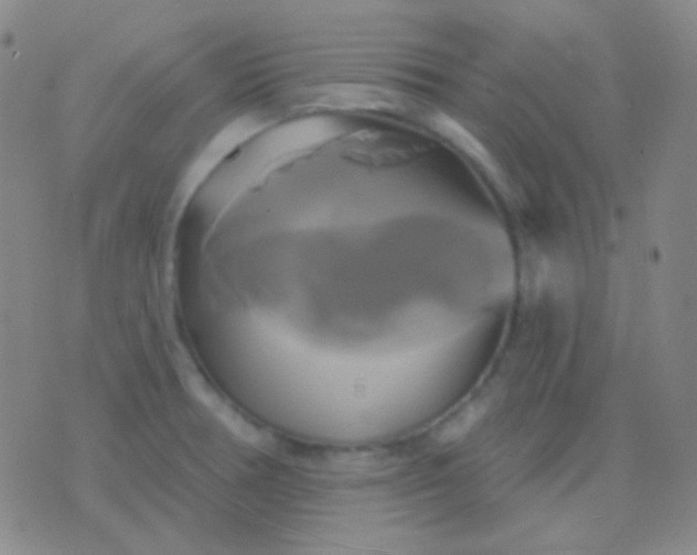 X0000076381378200610202028