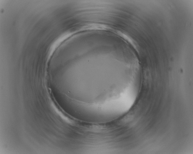 X0000076381379200610202028