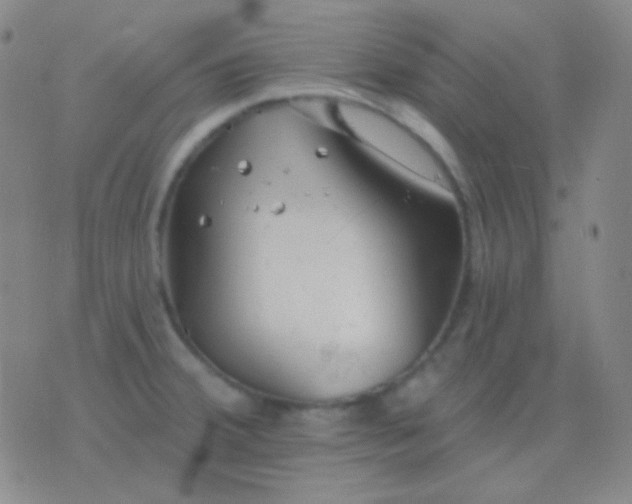 X0000076381380200610202028