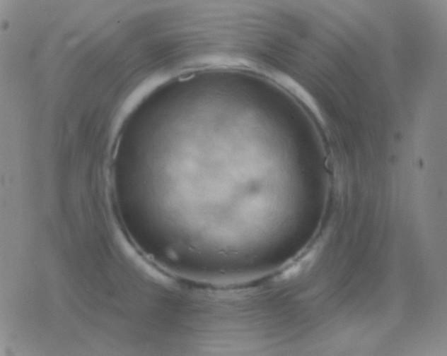 X0000076381381200610202028