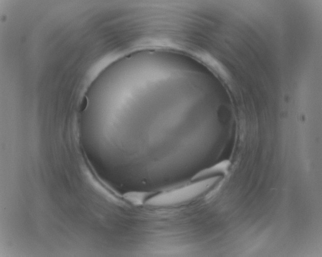 X0000076381382200610202028