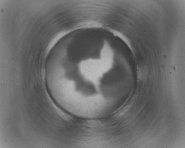 X0000076381383200610202028