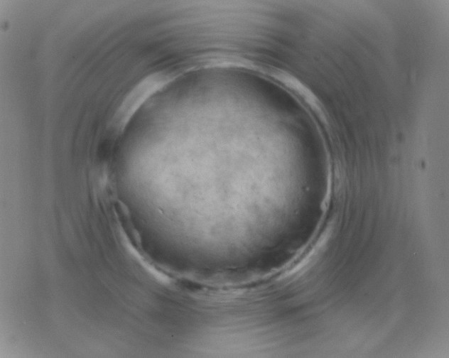 X0000076381385200610202028