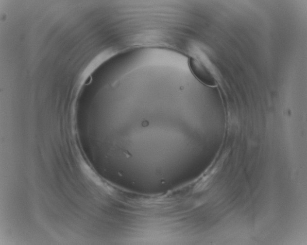 X0000076381386200610202028