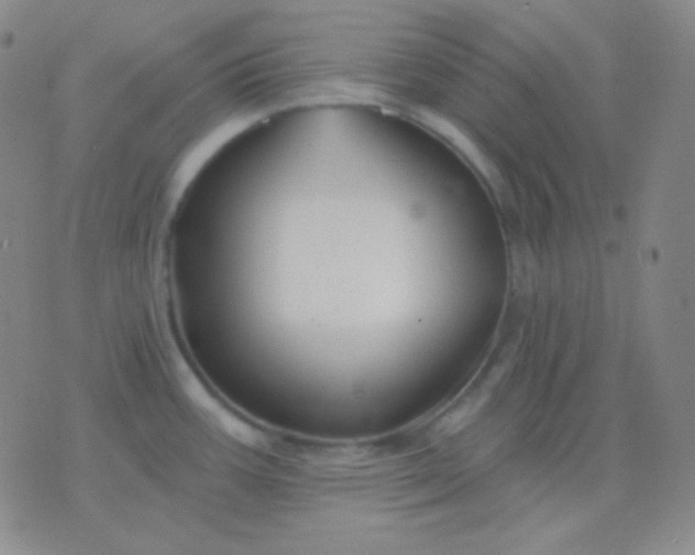 X0000076381387200610202028