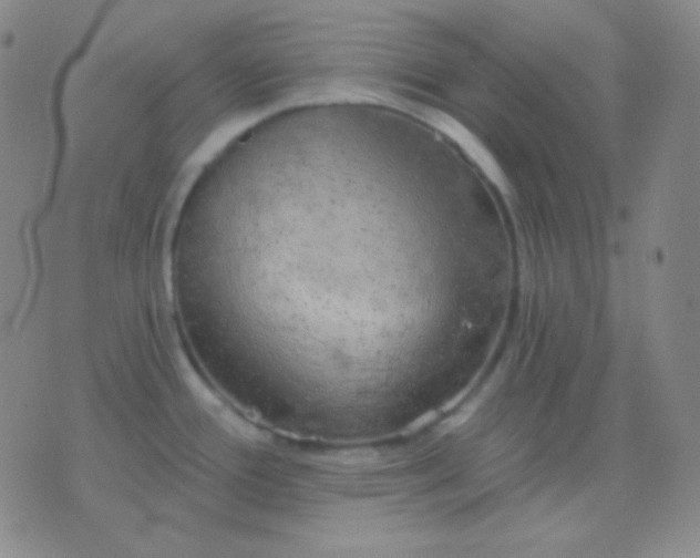 X0000076381388200610202028