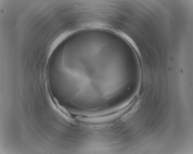 X0000076381389200610202028