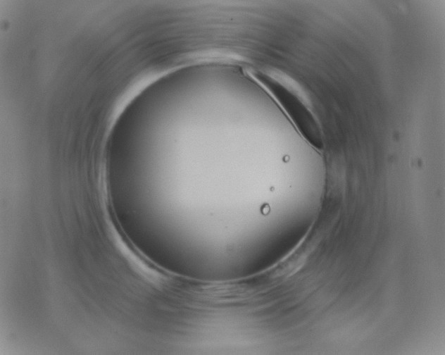 X0000076381391200610202028