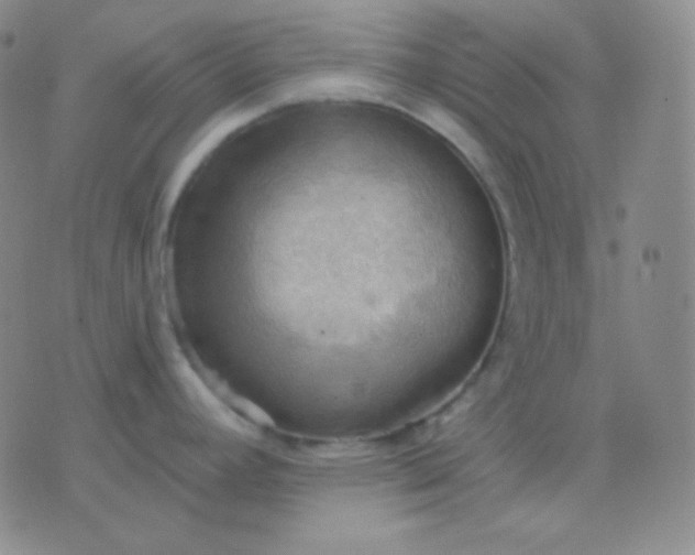 X0000076381392200610202028