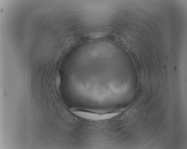 X0000076381393200610202027