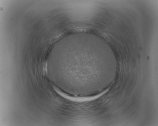 X0000076381394200610202027