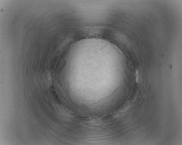 X0000076381395200610202027