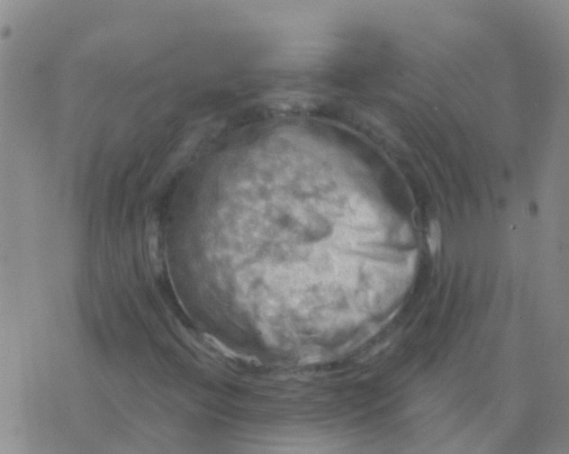 X0000076381396200610202027