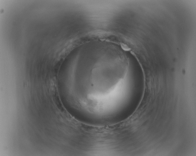 X0000076381397200610202027