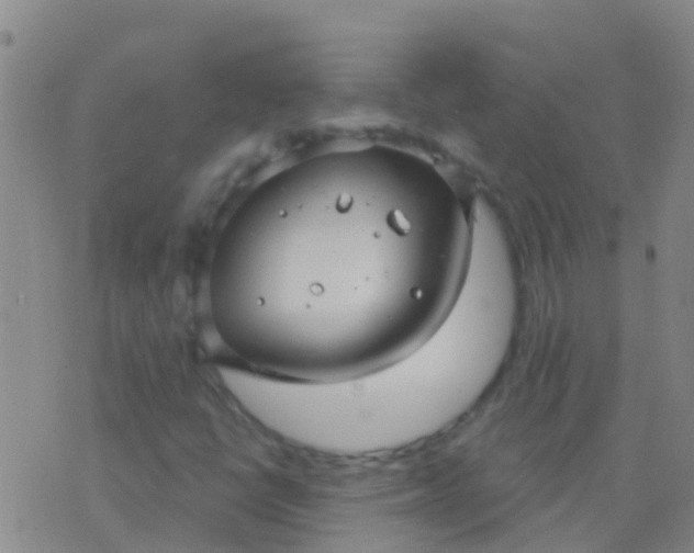 X0000076381398200610202027