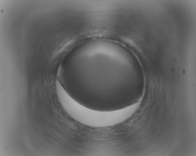 X0000076381399200610202028