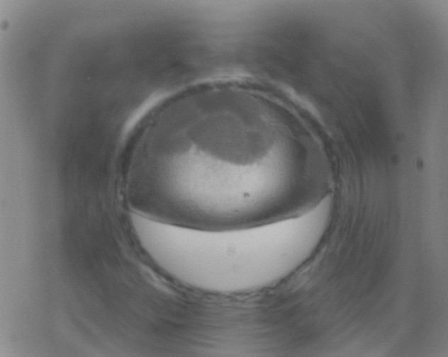 X0000076381400200610202028