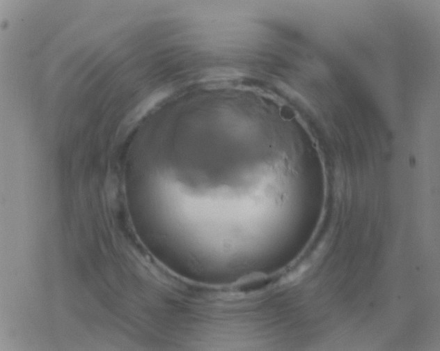 X0000076381401200610202028