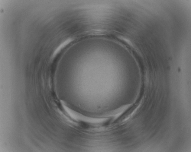 X0000076381402200610202028