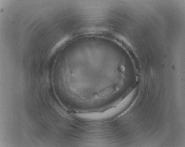 X0000076381403200610202028