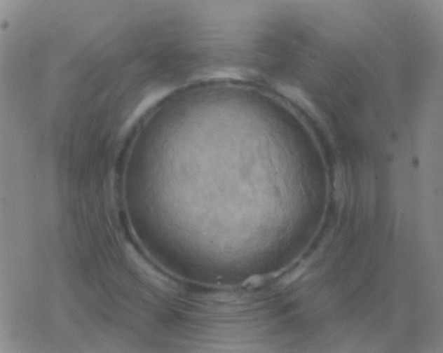 X0000076381404200610202028