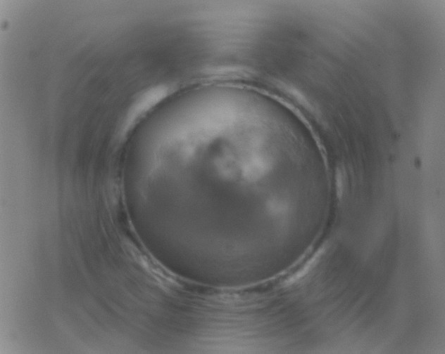 X0000076381405200610202028