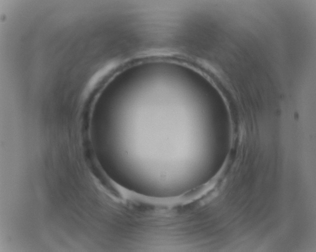 X0000076381406200610202028