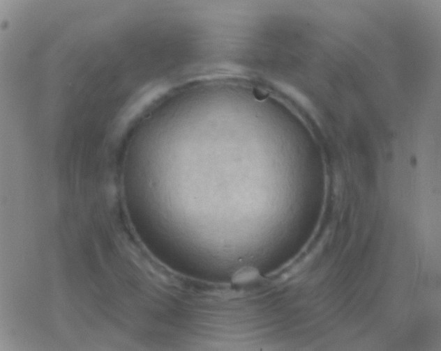 X0000076381407200610202028