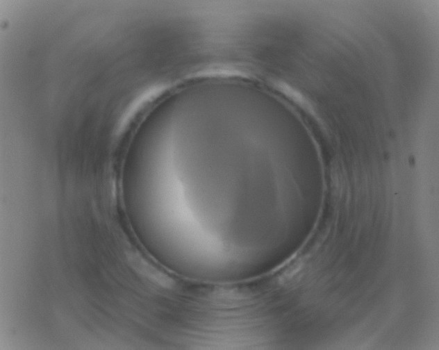 X0000076381408200610202028