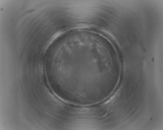 X0000076381409200610202028