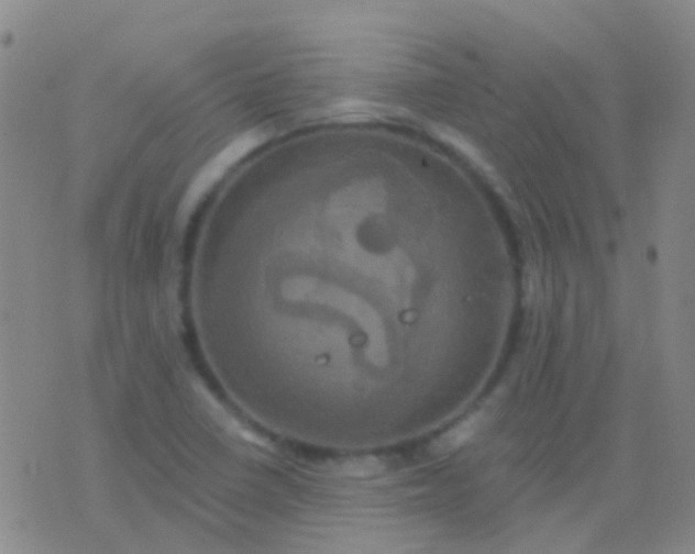 X0000076381410200610202028